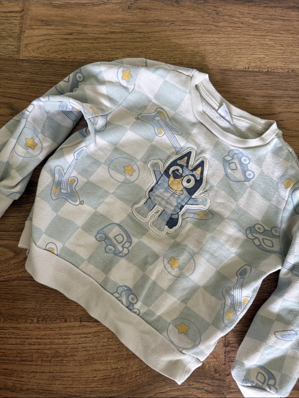 Bluey sweatshirt